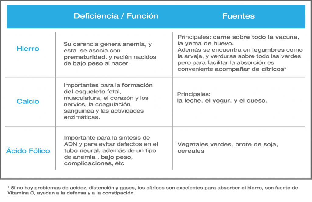 Algunos nutrientes a tener en cuenta